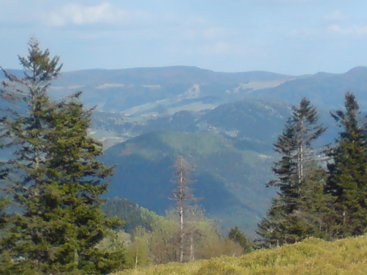 Willa Pod Kasztanami Piwniczna-Zdroj Buitenkant foto