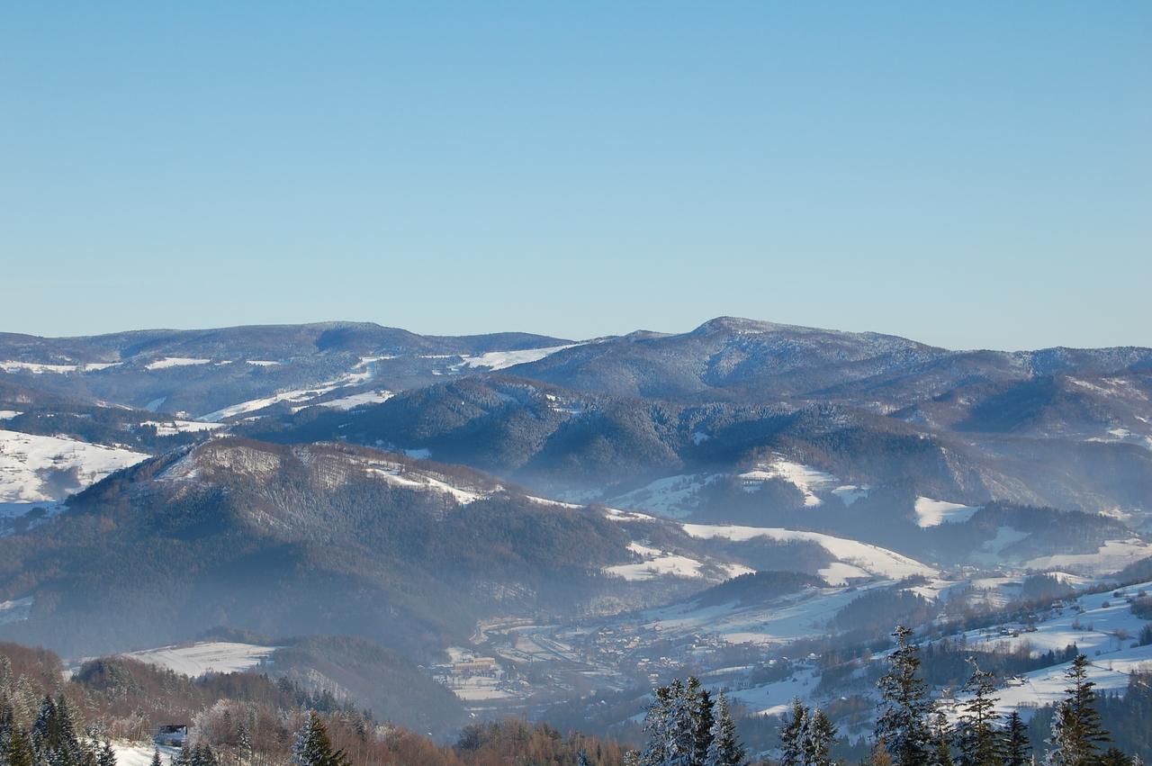 Willa Pod Kasztanami Piwniczna-Zdroj Buitenkant foto